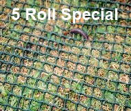 Grass Protection Mesh Horse Mats